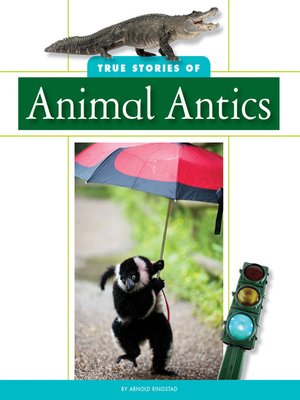 cover image of True Stories of Animal Antics